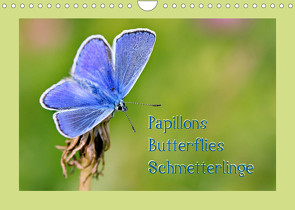 Papillons-Butterflies-Schmetterlinge (Wandkalender 2022 DIN A4 quer) von Berger (Kabefa),  Karin