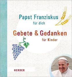 Papst Franziskus für dich von Riedl,  Irmi