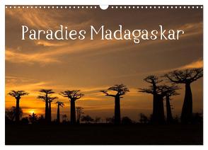 Paradies Madagaskar (Wandkalender 2024 DIN A3 quer), CALVENDO Monatskalender von www.augenblicke-antoniewski.de,  www.augenblicke-antoniewski.de