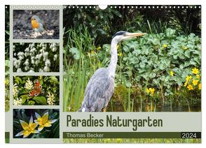 Paradies Naturgarten (Wandkalender 2024 DIN A3 quer), CALVENDO Monatskalender von Becker,  Thomas