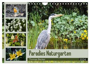 Paradies Naturgarten (Wandkalender 2024 DIN A4 quer), CALVENDO Monatskalender von Becker,  Thomas