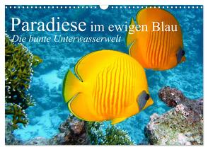 Paradiese im ewigen Blau. Die bunte Unterwasserwelt (Wandkalender 2024 DIN A3 quer), CALVENDO Monatskalender von Stanzer,  Elisabeth