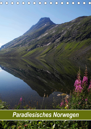 Paradiesisches Norwegen (Tischkalender 2021 DIN A5 hoch) von Pons,  Andrea