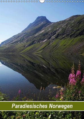 Paradiesisches Norwegen (Wandkalender 2019 DIN A3 hoch) von Pons,  Andrea