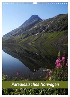 Paradiesisches Norwegen (Wandkalender 2024 DIN A3 hoch), CALVENDO Monatskalender von Pons,  Andrea