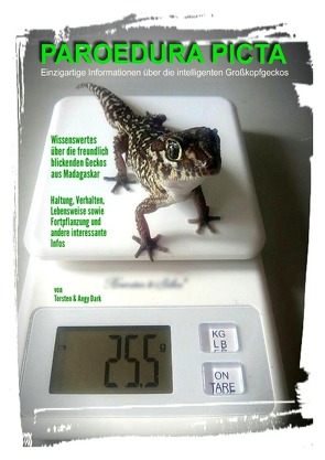 PAROEDURA PICTA (Großkopfgeckos) von Dark,  Angy