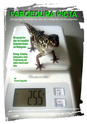 PAROEDURA PICTA – Großkopfgeckos von Dark,  Angy