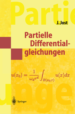 Partielle Differentialgleichungen von Jost,  Jürgen