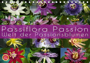 Passiflora Passion – Welt der Passionsblumen (Tischkalender 2020 DIN A5 quer) von Cross,  Martina