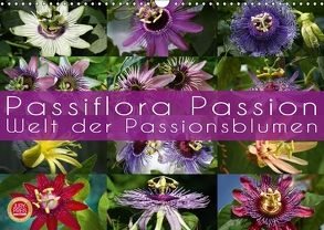 Passiflora Passion – Welt der Passionsblumen (Wandkalender 2018 DIN A3 quer) von Cross,  Martina