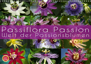 Passiflora Passion – Welt der Passionsblumen (Wandkalender 2020 DIN A3 quer) von Cross,  Martina