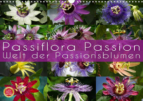 Passiflora Passion – Welt der Passionsblumen (Wandkalender 2022 DIN A3 quer) von Cross,  Martina