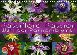 Passiflora Passion – Welt der Passionsblumen (Wandkalender 2022 DIN A4 quer) von Cross,  Martina