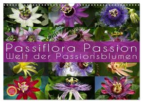 Passiflora Passion – Welt der Passionsblumen (Wandkalender 2024 DIN A3 quer), CALVENDO Monatskalender von Cross,  Martina