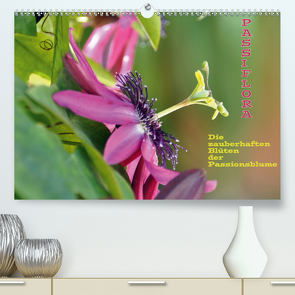 Passiflora (Premium, hochwertiger DIN A2 Wandkalender 2020, Kunstdruck in Hochglanz) von GUGIGEI