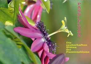 Passiflora (Wandkalender 2020 DIN A2 quer) von GUGIGEI