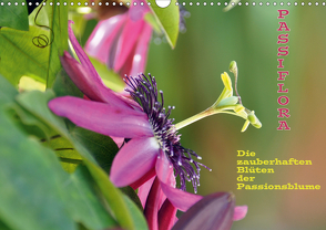 Passiflora (Wandkalender 2021 DIN A3 quer) von GUGIGEI