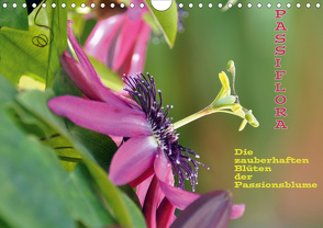 Passiflora (Wandkalender 2021 DIN A4 quer) von GUGIGEI