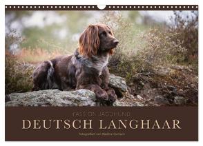 Passion Jagdhund – Deutsch Langhaar (Wandkalender 2024 DIN A3 quer), CALVENDO Monatskalender von Gerlach,  Nadine