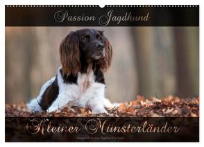 Passion Jagdhund – Kleiner Münsterländer (Wandkalender 2024 DIN A2 quer), CALVENDO Monatskalender von Gerlach,  Nadine