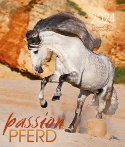 Passion Pferd 2024 von Boiselle,  Gabriele