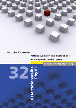 Pattern evolution and fluctuations in a magnetic model system von Kronseder,  Matthias