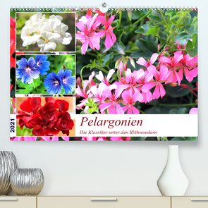 Pelargonien. Die Klassiker unter den Blühwundern (Premium, hochwertiger DIN A2 Wandkalender 2021, Kunstdruck in Hochglanz) von Hurley,  Rose