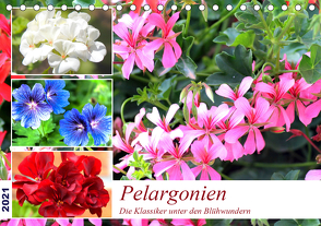 Pelargonien. Die Klassiker unter den Blühwundern (Tischkalender 2021 DIN A5 quer) von Hurley,  Rose