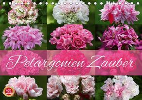 Pelargonien Zauber (Tischkalender 2019 DIN A5 quer) von Cross,  Martina