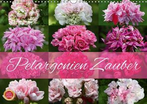 Pelargonien Zauber (Wandkalender 2019 DIN A3 quer) von Cross,  Martina