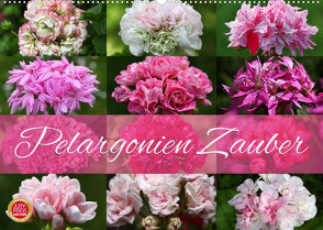 Pelargonien Zauber (Wandkalender 2022 DIN A2 quer) von Cross,  Martina