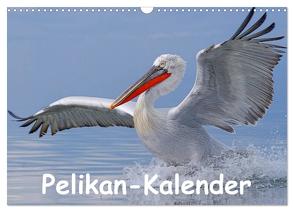 Pelikan-Kalender (Wandkalender 2024 DIN A3 quer), CALVENDO Monatskalender von Wolf,  Gerald