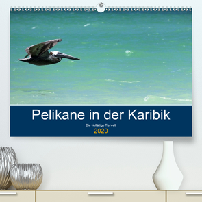 Pelikane in der Karibik – Die vielfältige Tierwelt (Premium, hochwertiger DIN A2 Wandkalender 2020, Kunstdruck in Hochglanz) von Hornecker -www.fotosdelmundo.de, - Frank