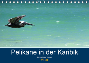 Pelikane in der Karibik – Die vielfältige Tierwelt (Tischkalender 2020 DIN A5 quer) von Hornecker -www.fotosdelmundo.de, - Frank