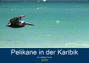 Pelikane in der Karibik – Die vielfältige Tierwelt (Wandkalender 2020 DIN A2 quer) von Hornecker -www.fotosdelmundo.de, - Frank