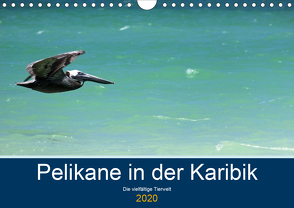 Pelikane in der Karibik – Die vielfältige Tierwelt (Wandkalender 2020 DIN A4 quer) von Hornecker -www.fotosdelmundo.de, - Frank