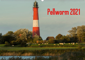 Pellworm 2021 (Wandkalender 2021 DIN A2 quer) von photo impressions,  D.E.T.