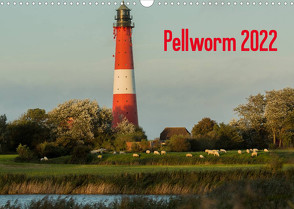 Pellworm 2022 (Wandkalender 2022 DIN A3 quer) von photo impressions,  D.E.T.