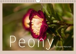 Peony (Wandkalender immerwährend DIN A4 quer) von Mazunov,  Bogna