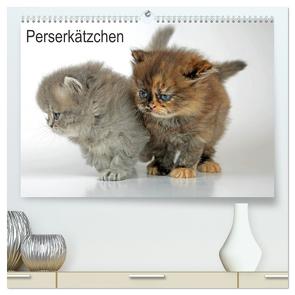 Perserkätzchen / CH-Version (hochwertiger Premium Wandkalender 2024 DIN A2 quer), Kunstdruck in Hochglanz von Eppele,  Klaus