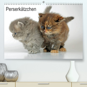 Perserkätzchen / CH-Version (Premium, hochwertiger DIN A2 Wandkalender 2023, Kunstdruck in Hochglanz) von Eppele,  Klaus