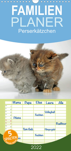Familienplaner Perserkätzchen (Wandkalender 2022 , 21 cm x 45 cm, hoch) von Eppele,  Klaus