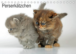 Perserkätzchen (Tischkalender 2023 DIN A5 quer) von Eppele,  Klaus