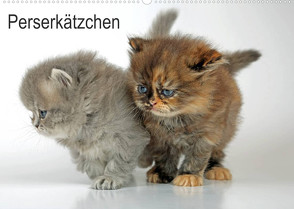 Perserkätzchen (Wandkalender 2023 DIN A2 quer) von Eppele,  Klaus