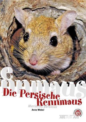 Die Persische Rennmaus von Anne,  Weber