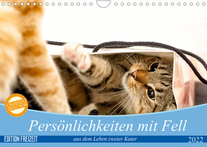 Persönlichkeiten mit Fell – aus dem Leben zweier getigerter Kater (Wandkalender 2022 DIN A4 quer) von Samashy
