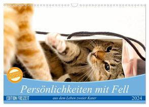 Persönlichkeiten mit Fell – aus dem Leben zweier getigerter Kater (Wandkalender 2024 DIN A3 quer), CALVENDO Monatskalender von Samashy,  Samashy