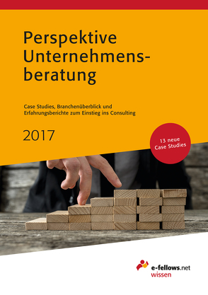 Perspektive Unternehmensberatung 2017 von Friedl,  Anna, Hies,  Michael