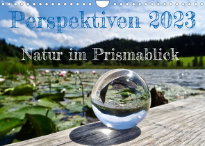Perspektiven 2022 – Natur im Prismablick (Wandkalender 2023 DIN A4 quer) von Schönharting,  Birgit