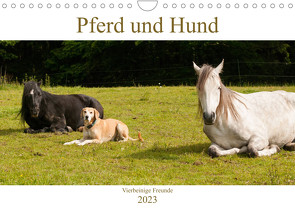 Pferd und Hund – Vierbeinige Freunde (Wandkalender 2023 DIN A4 quer) von Bölts,  Meike